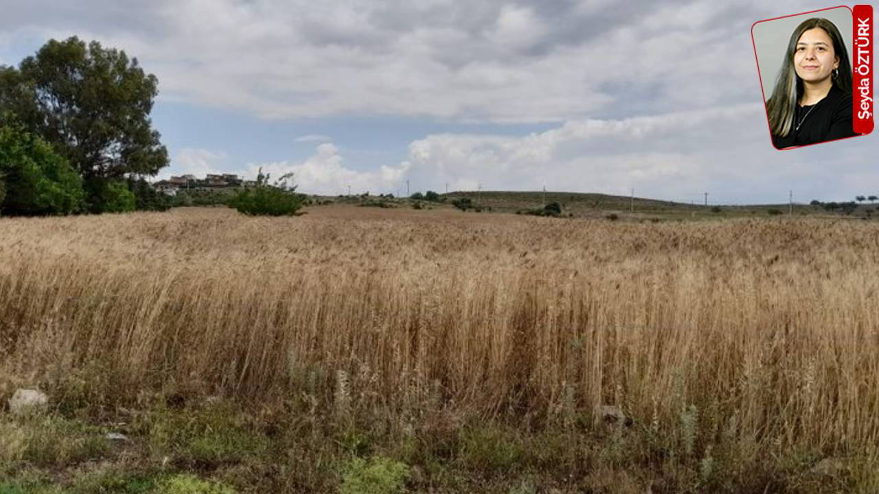 Tarımsal niteliği korunacak alana yapılacak RES için karar günü: Türbin masada
