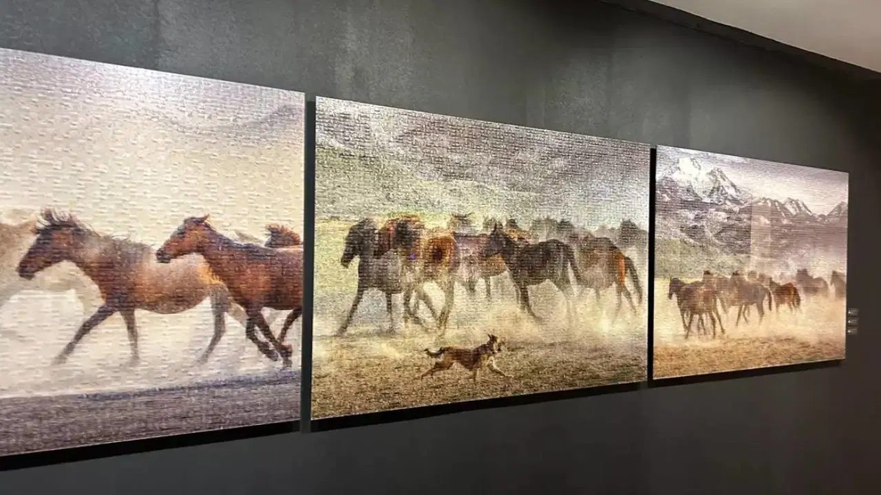 A. Halim Kulaksız’ın ‘Vahşi ve Özgür’ sergisi Piramid Sanat’ta açıldı: Özgürlüğün fotoğrafı