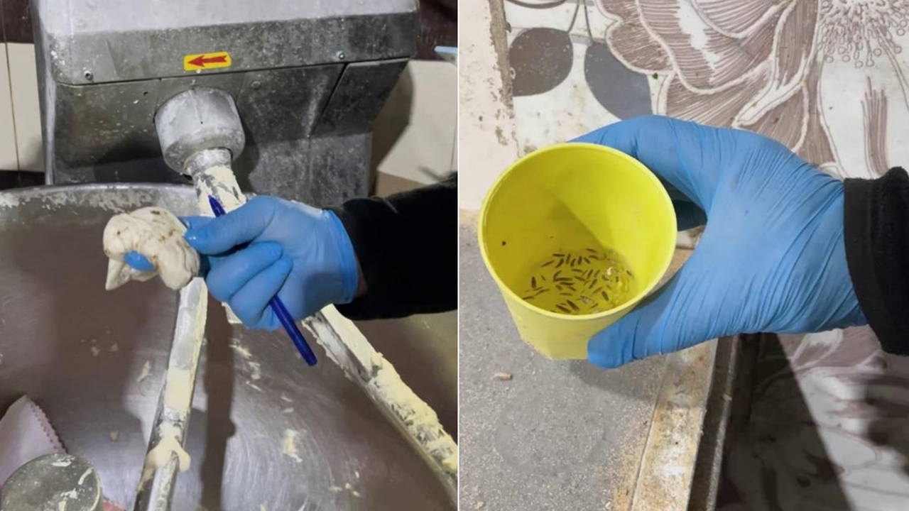 Fırın denetiminde mide bulandıran görüntüler: Zabıta iki işletmeyi mühürledi!