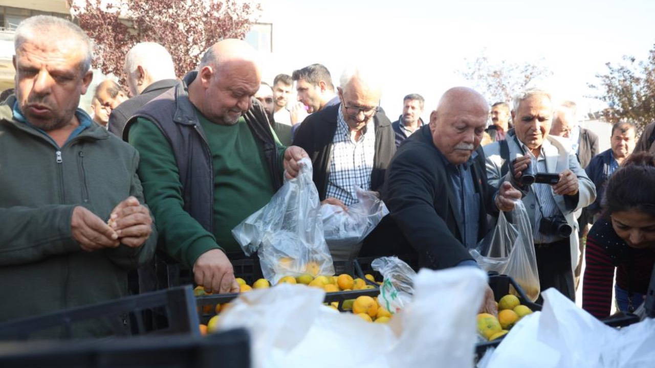 Mandalinanın fiyatı 2 TL'ye düşünce tonlarca ürünü yurttaşlara ücretsiz dağıttılar