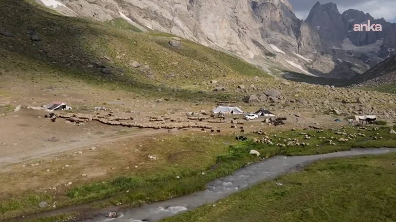 Van'da dikkat çeken karar: Yayla ve meralar dışarıdan kiralamaya kapatıldı