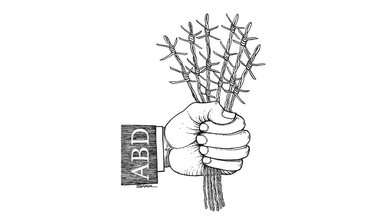 ABD çiçeği... Ercan BAYSAL