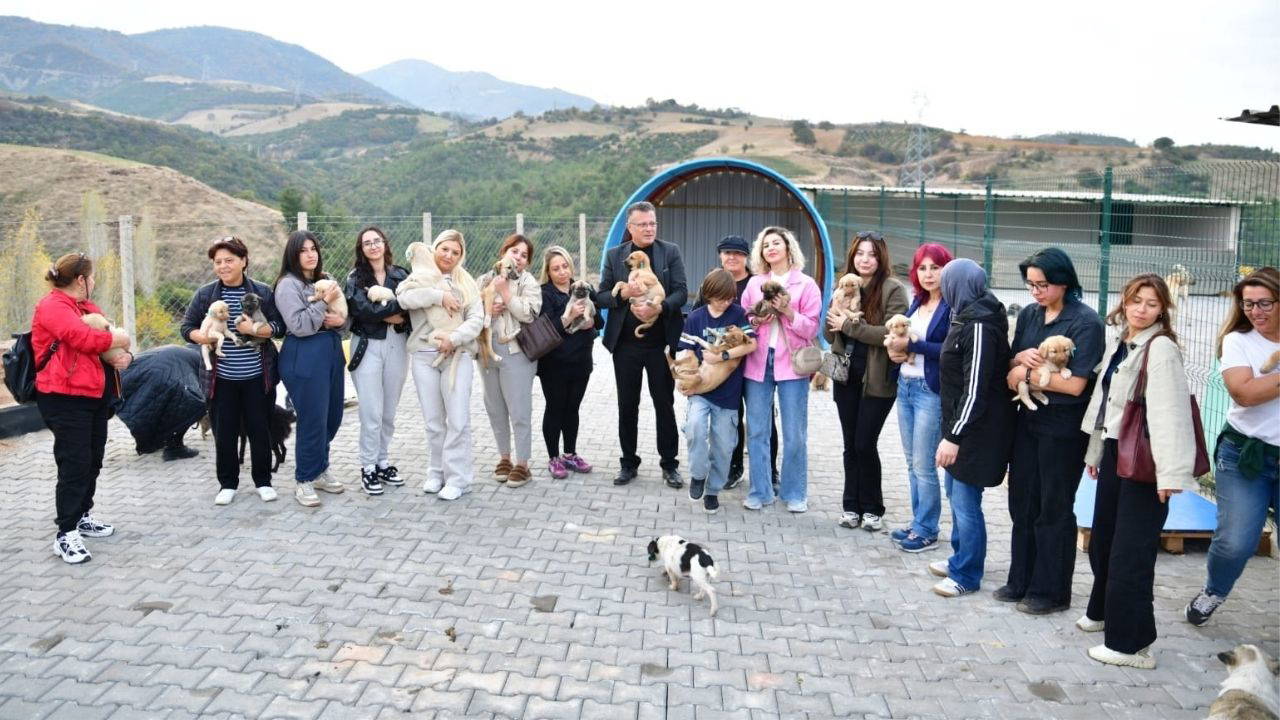 Son Dakika Haber Görseli