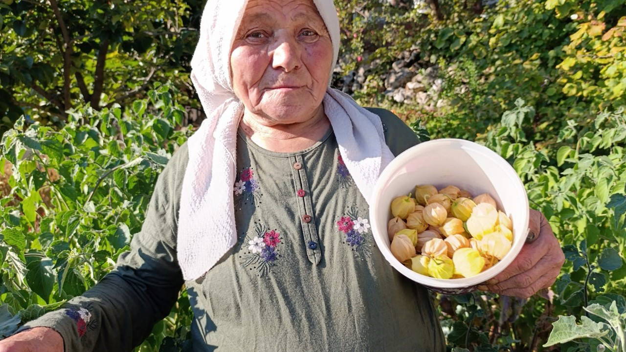 Metabolizmayı hızlandırıyor, bağışıklığı güçlendiriyor! 100 gramı 50 lira....
