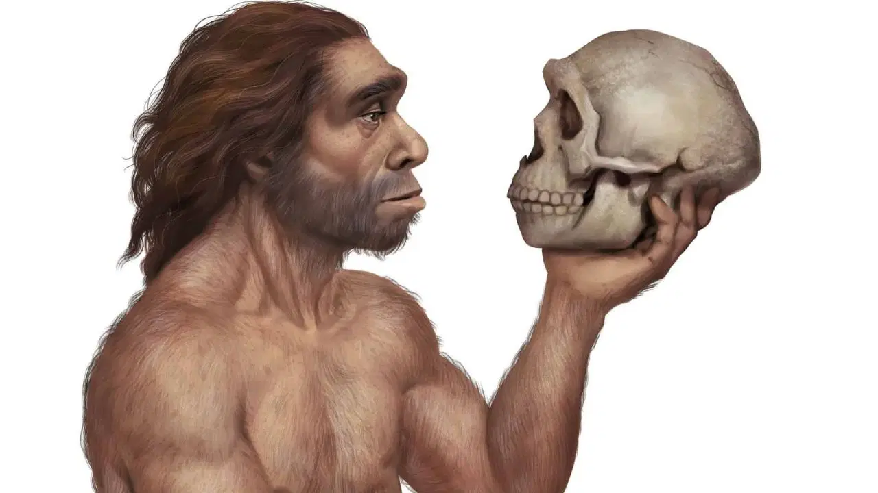 İnsanlık tarihini değiştiren genetik keşif: Büyüme ve kas yapısını etkileyen Neandertal mirası ortaya çıkarıldı