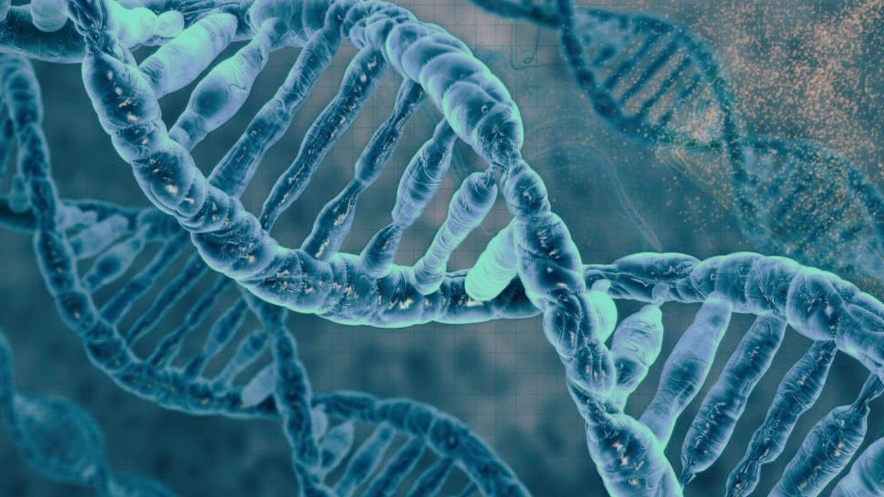 Kanserli köpeğe yapay zekayla üretilen aşıdan, yaşamın yapı taşlarına mart ayındaki bilimsel gelişmeler