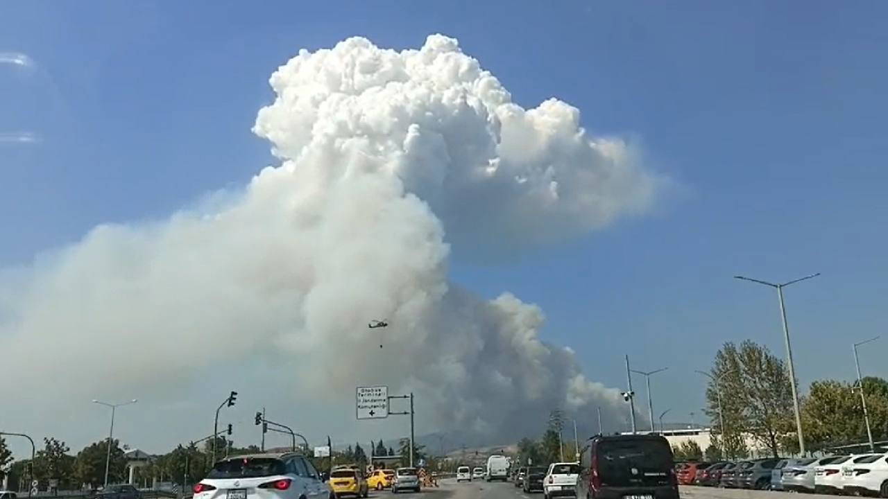 Bölge, yerleşim yerleri yakınında... Bursa’da orman yangını!