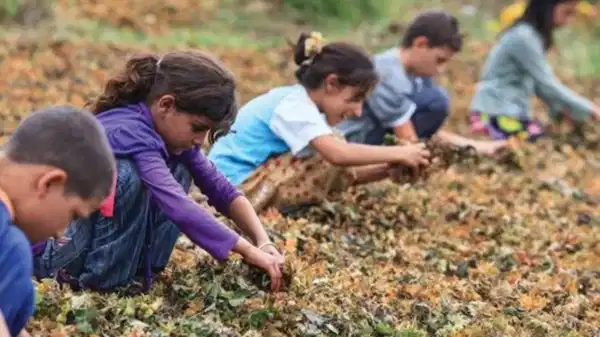 Son Dakika Haber Görseli