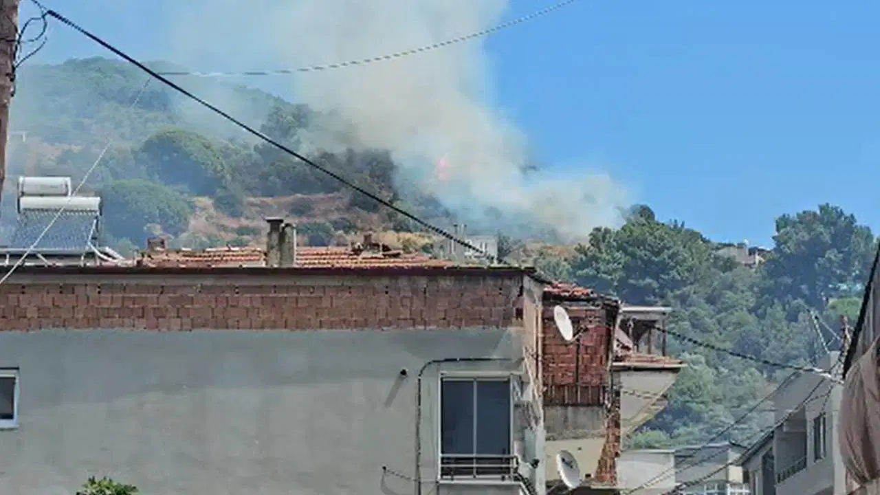 Marmara Adası’nda orman yangını
