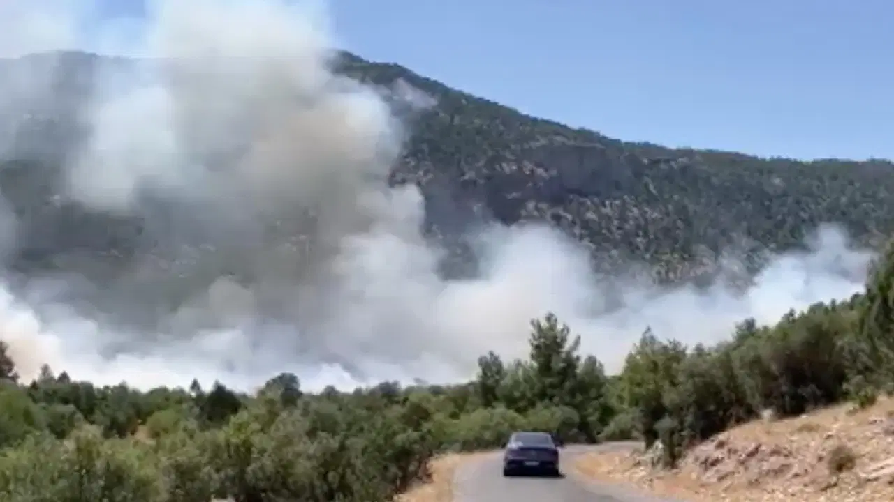 Son Dakika… Antalya'da orman yangını!