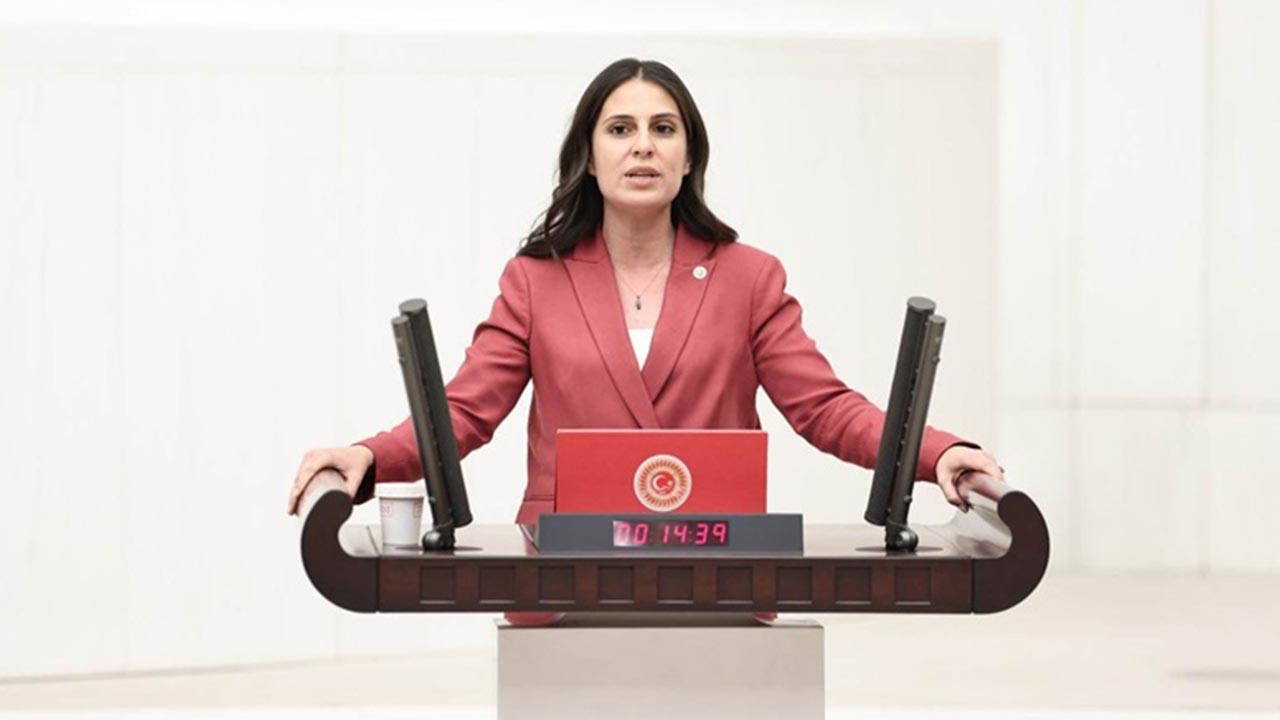 CHP'li Özcan: Milas-Bodrum Havalimanı devri yok hükmündedir