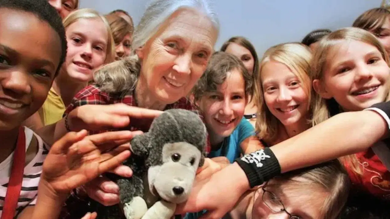 Roots&Shoots Türkiye: 'Umut, eylem gerektiren bir şeydir'