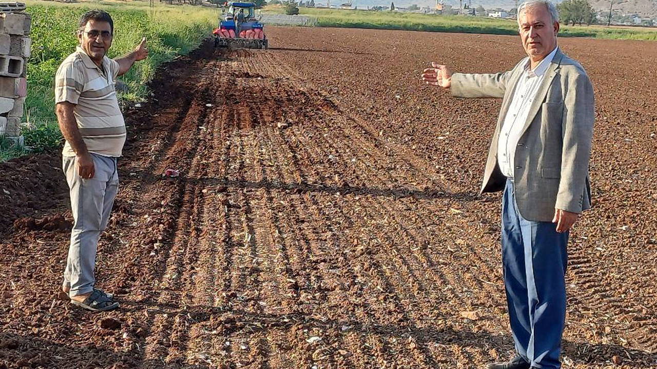 9 ay boyunca bebek gibi bakılıyor: Araban Ovası’nda hasat başladı...