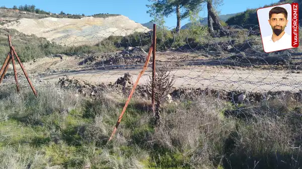 Ağaç kıyımına karşı mücadele sürüyor