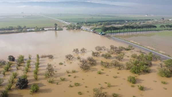 Büyük Menderes Nehri taştı: Tarım arazileri su altında kaldı