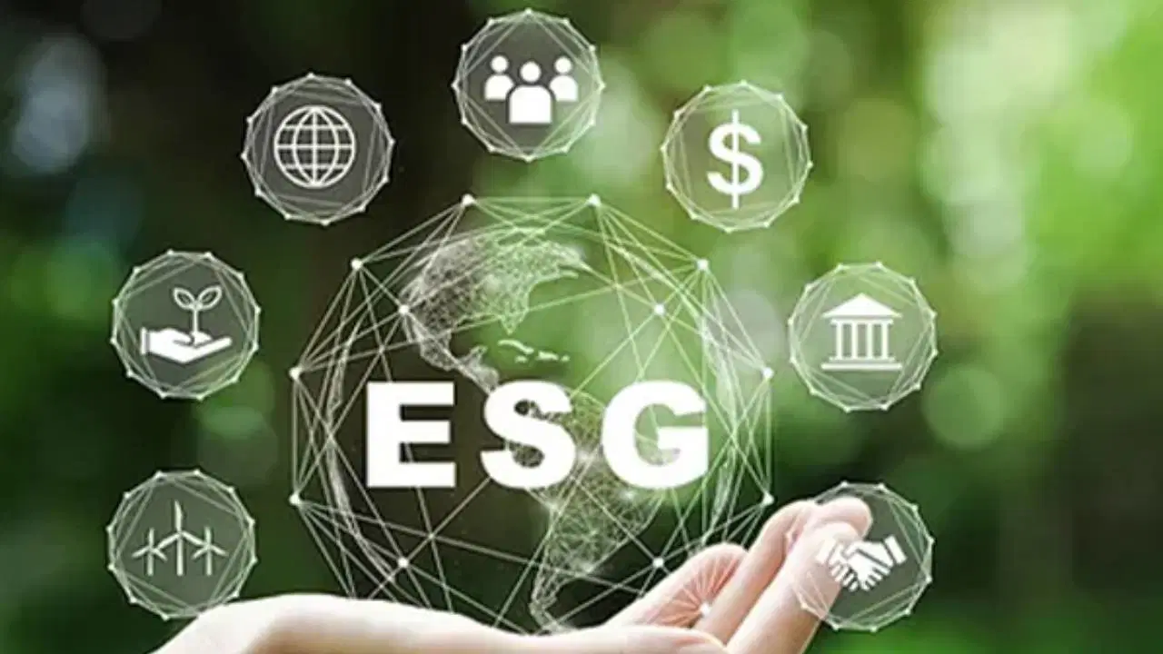 İklim Sözlüğü: ESG (Çevresel, Sosyal ve Yönetişim)