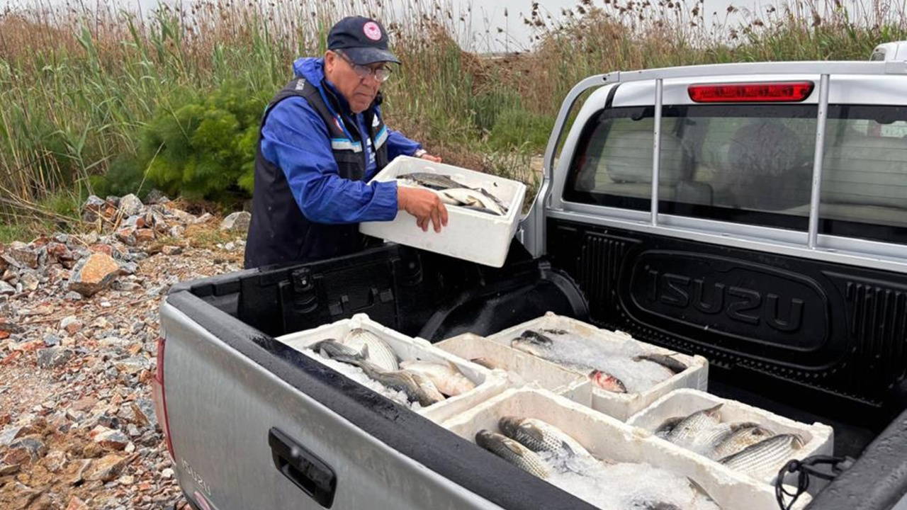 Milas’ta 80 kilo kefal balığına el konuldu