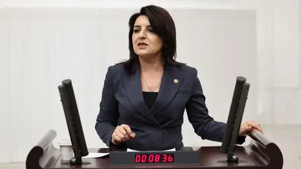 CHP'li Gülcan Kış iktidara seslendi: 'Üretimi değil ayrıcalığı koruyorlar!'
