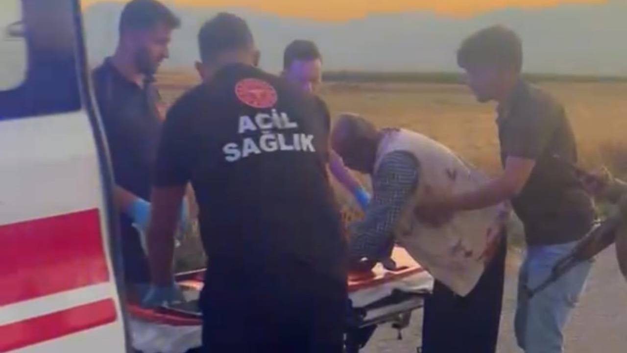 Gaziantep’te hayvan otlatma kavgası: 2 yaralı