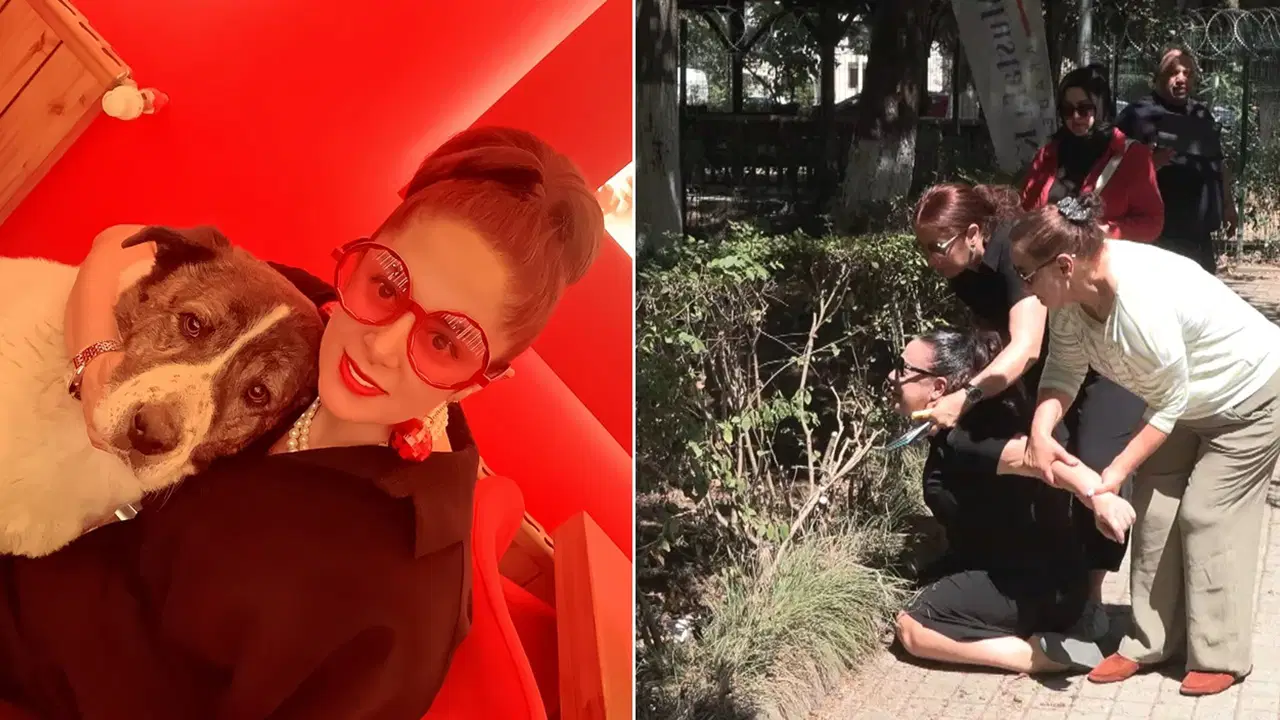 Belediye ekipleri 'sokak köpeği' sanarak götürmüş: Günlerdir aradıkları köpeklerini barınakta ölü buldular!