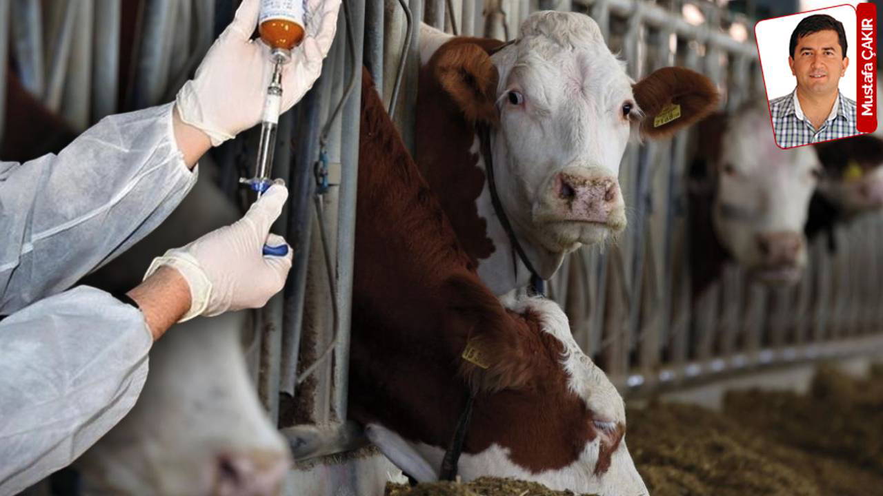 O iddia yanıtsız kaldı