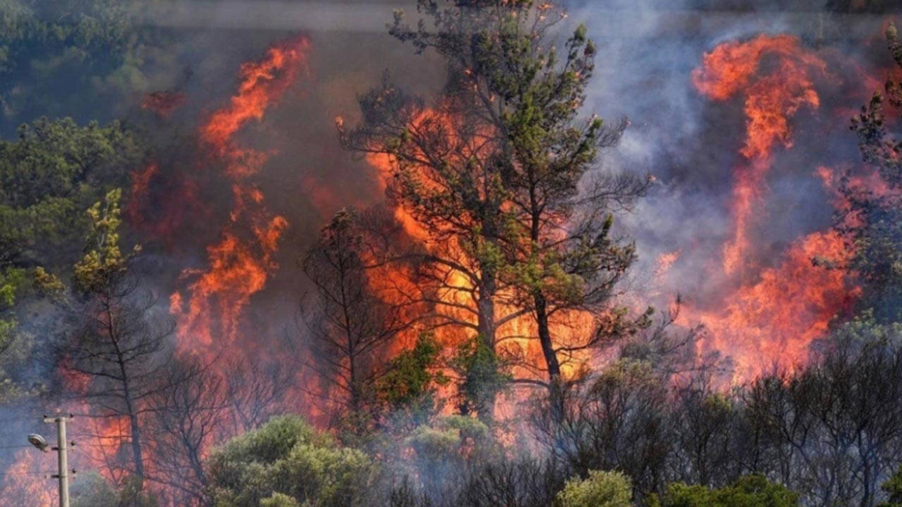 Orman yangınlarında son durum