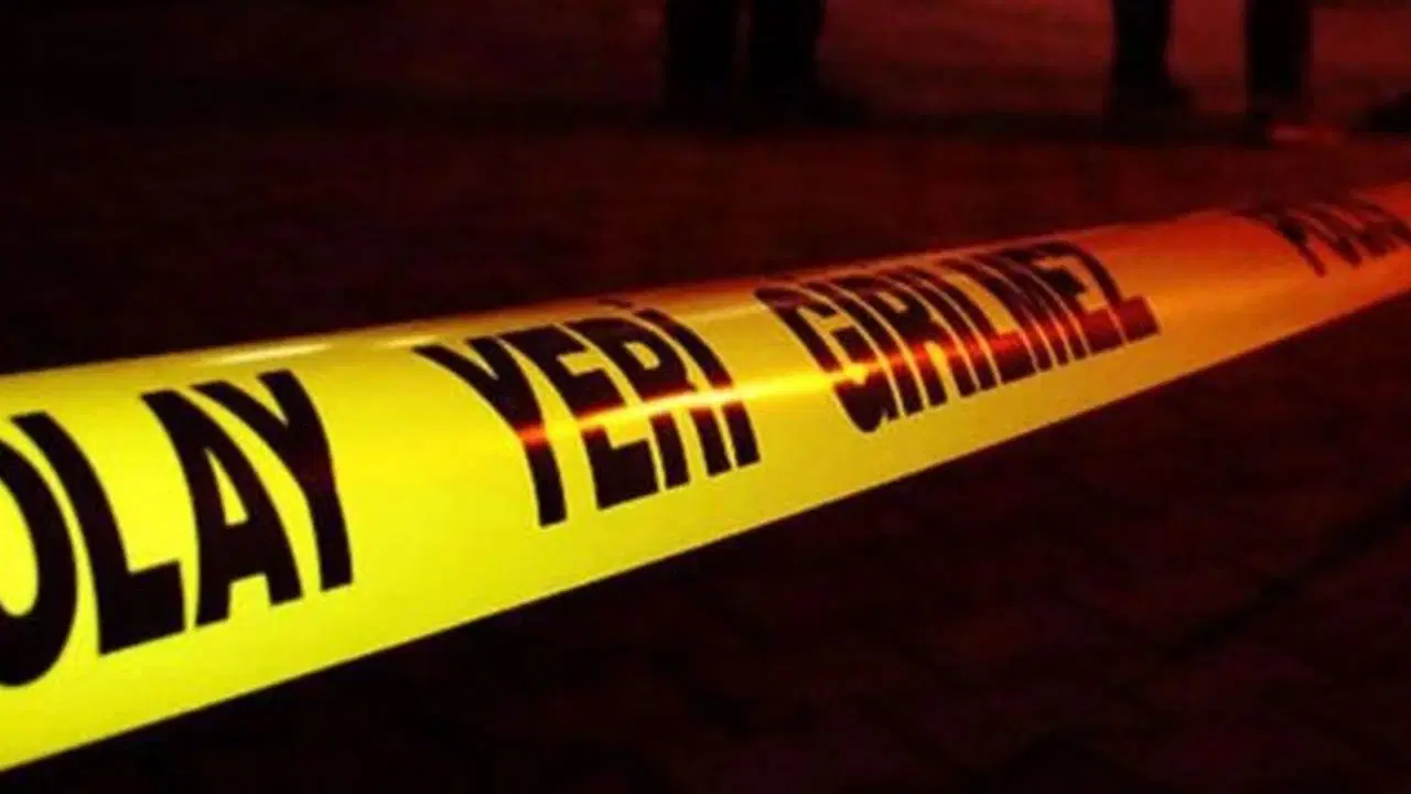 Yer Ordu... Bıçaklı saldırıya uğrayan eski muhtar hayatını kaybetti, saldırgan ağır yaralı