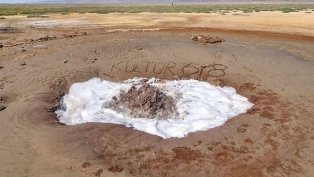 Türkiye'de tek: Yılda bir görünüp kayboluyor