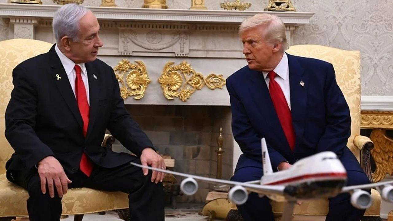 Güvercin kılıklı akbaba