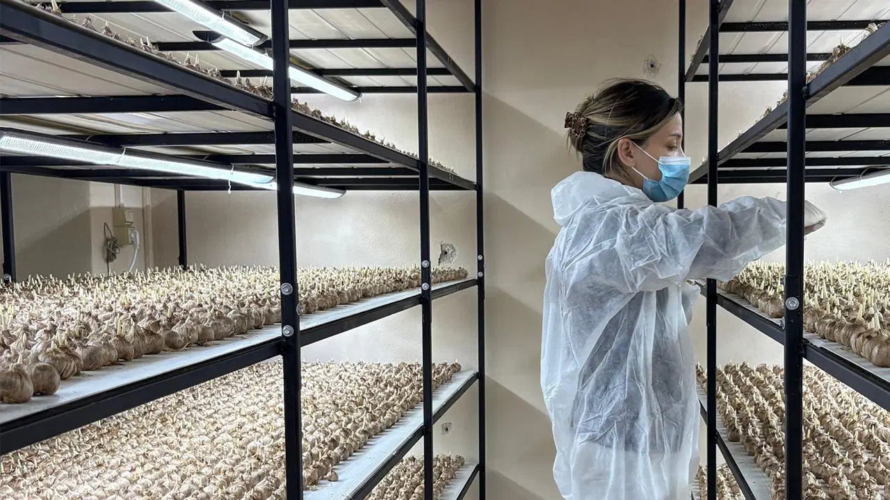 Genç yaşta mesleğini bıraktı, 50 metrekare odada üretime başladı: 1 gramı 600 lira...