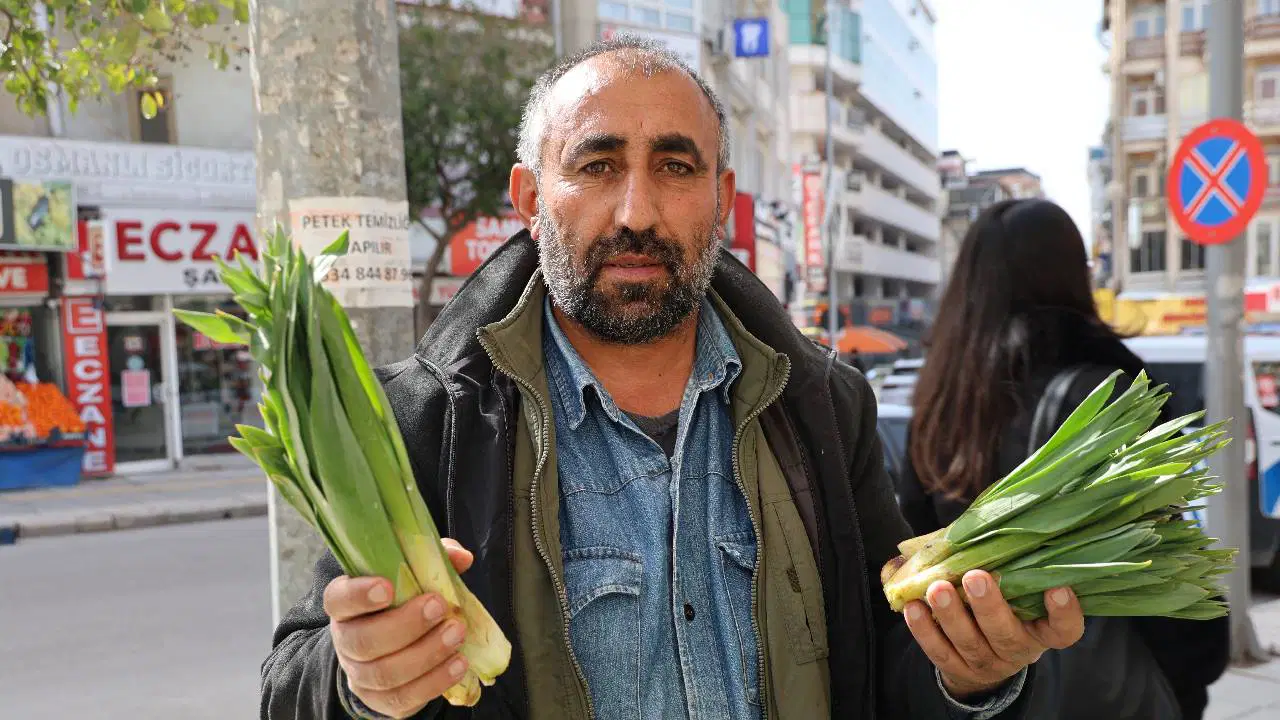 Dağlardan toplanan doğal antibiyotik: Yılda iki defa hasat ediliyor! Kilosu 100 TL...