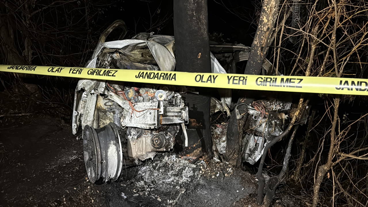 Ağaca çarpan hafif ticari aracın sürücüsü yanarak öldü!