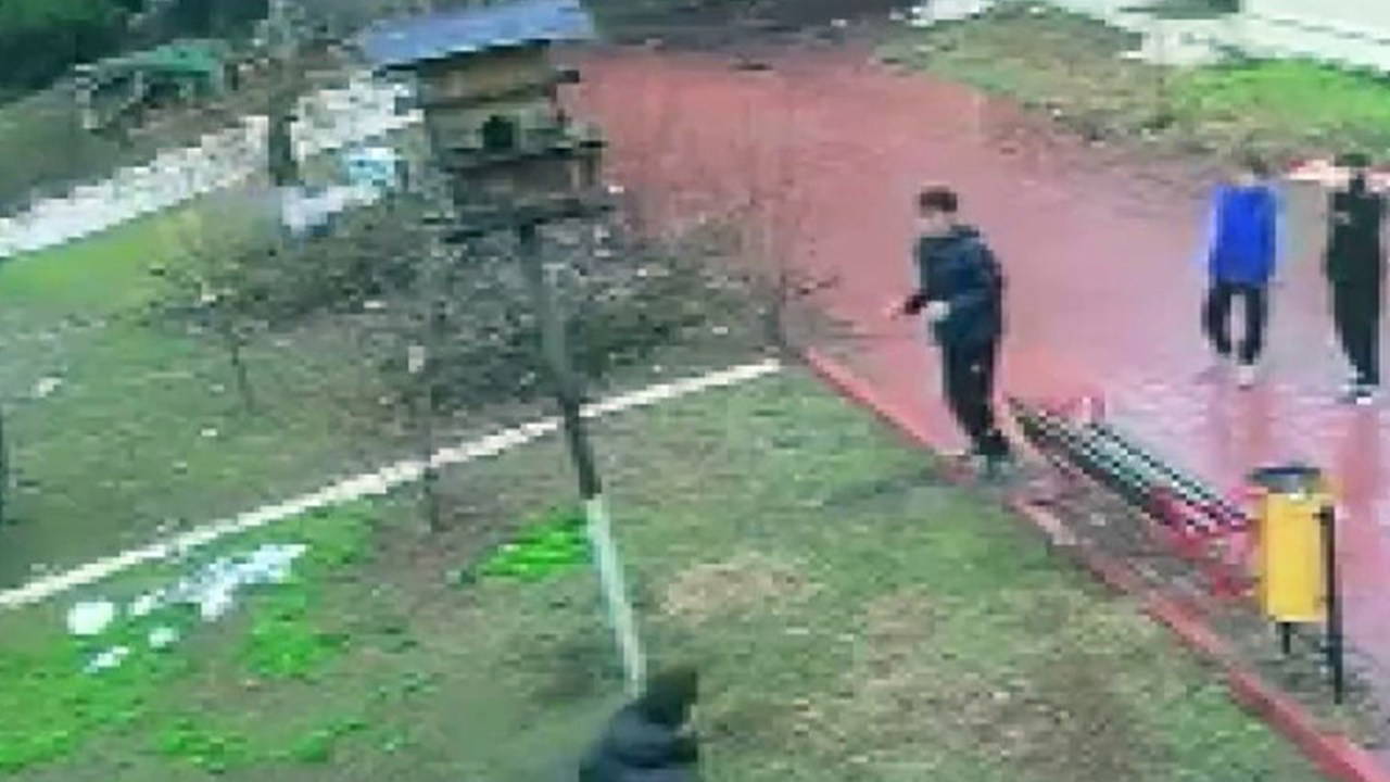 Adana'da kuş yuvasına zarar veren 4 çocuğa ev hapsi verildi