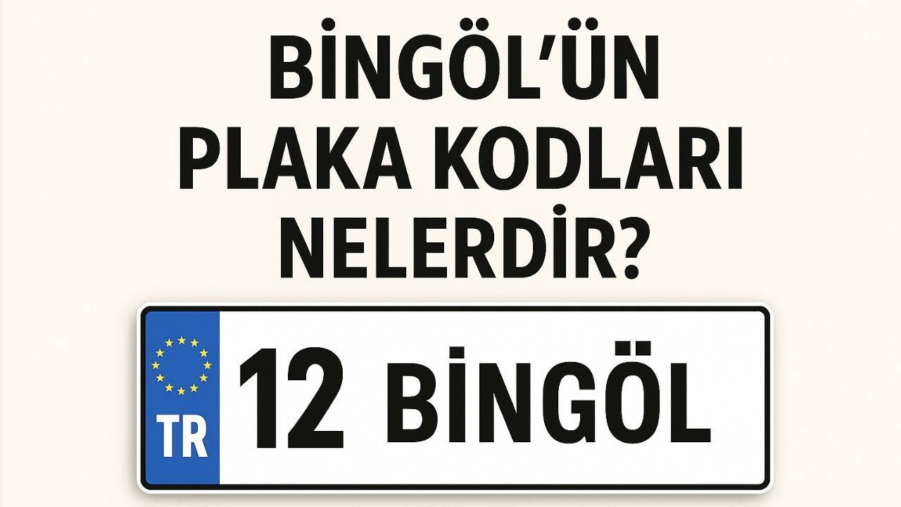 Bingöl'ün plaka kodu ne? Bingöl'ün plaka numarası kaç? Bingöl ve ilçelerinin plaka harfleri...