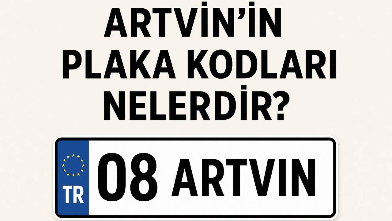 Artvin'in plaka kodu ne? Artvin'in plaka numarası kaç? Artvin ve ilçelerinin plaka harfleri...