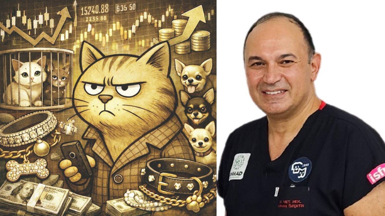 Sevgi limited şirketi