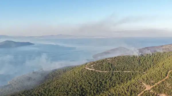 Milas orman yangını 2. gününde: Çok sayıda kişi tahliye edildi!