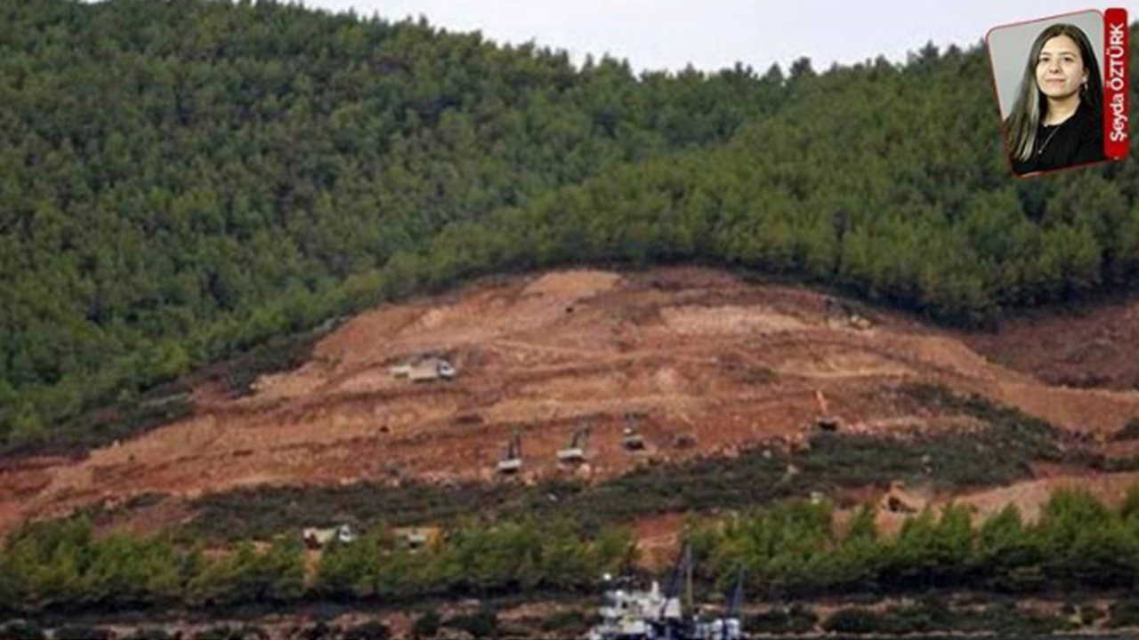 Her adımları yıkım: En az 4 bin 237 ağaç kesilecek