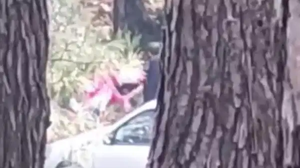 Bir kadın ormanlık alanda darbedildi!