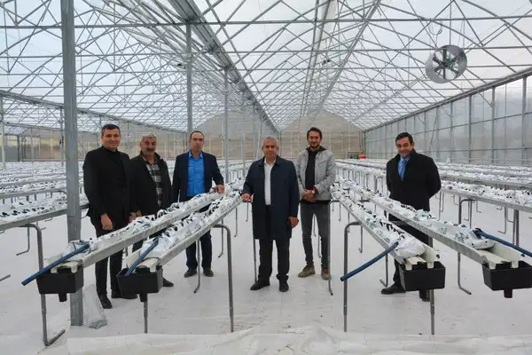 Termal Sera Projesi hayata geçiriliyor: Kahramankazan’ın tarımsal potansiyeli artacak