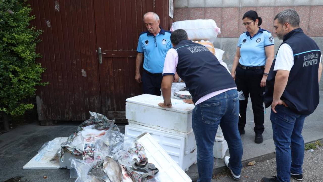Antalya Otogarı'nda balık operasyonu: 260 kilo ele geçirildi