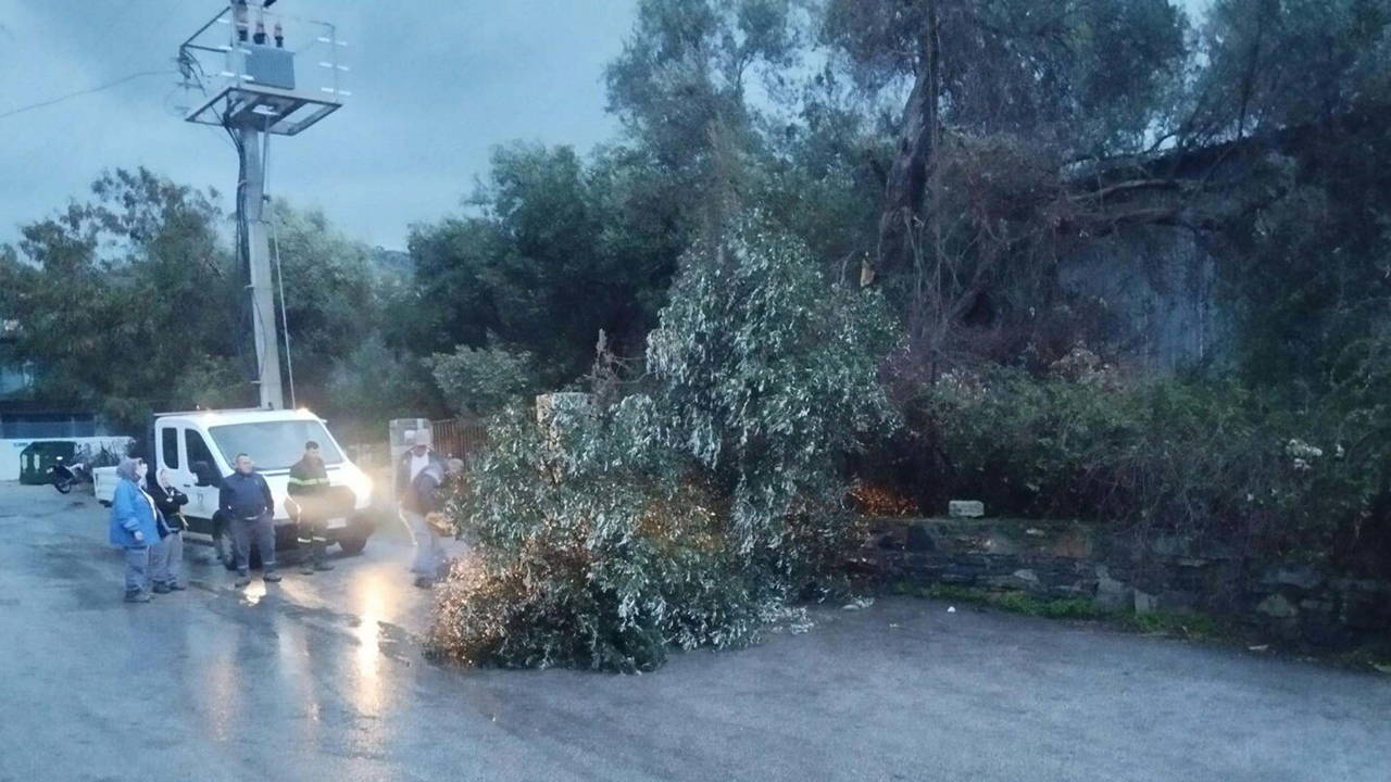 Bodrum’da fırtına: Ağaçlar devrildi, tekneler su aldı!