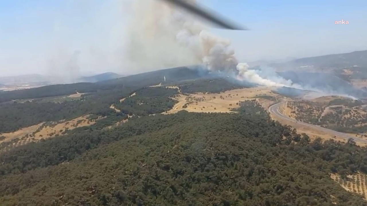 İzmir Foça'da orman yangını: Havadan ve karadan müdahale ediliyor