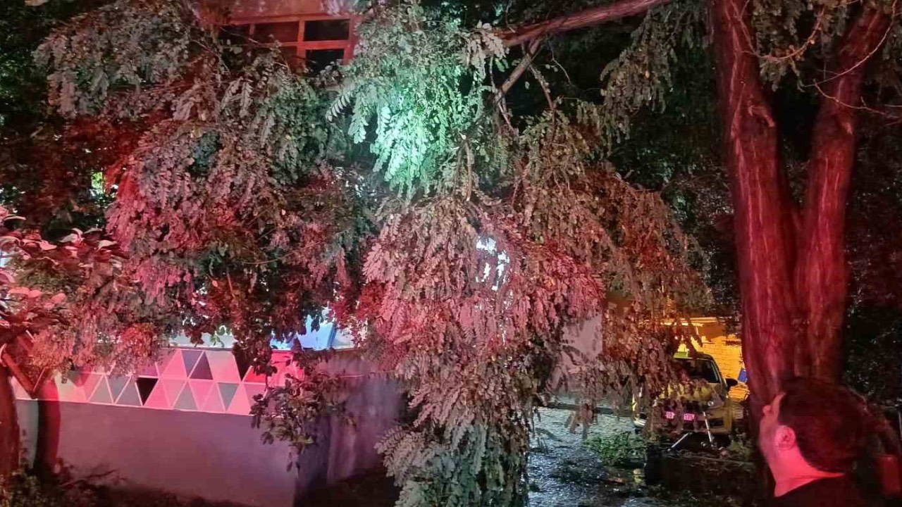 Erdek’te fırtına ve dolu yağışı: Ağaçlar devrildi, çatılar uçtu