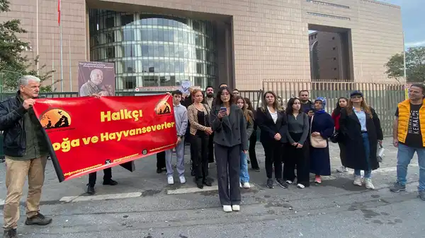 Tepkiler sonuç verdi... Bakırköy Adliyesi'nde 'kedilerin sürülmesi' kararı geri çekildi: 'Kedi evleri yapılacak'