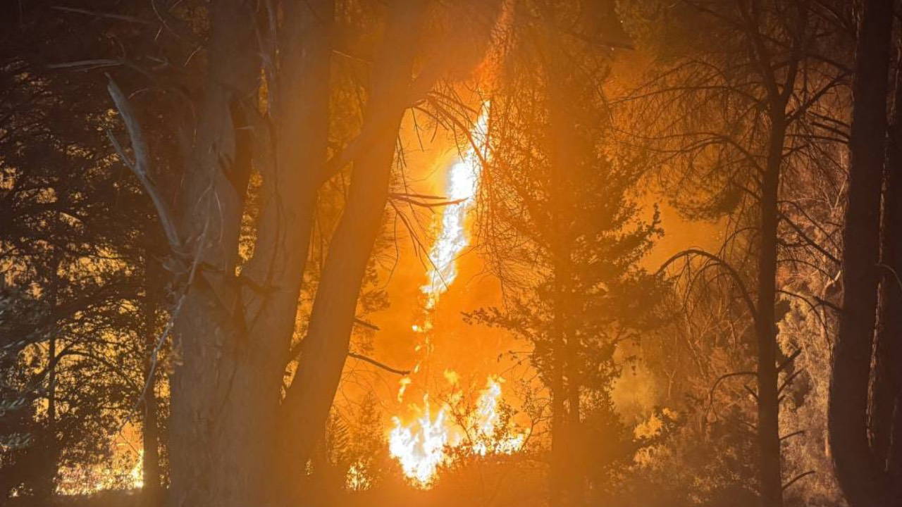 Antalya'da orman yangını