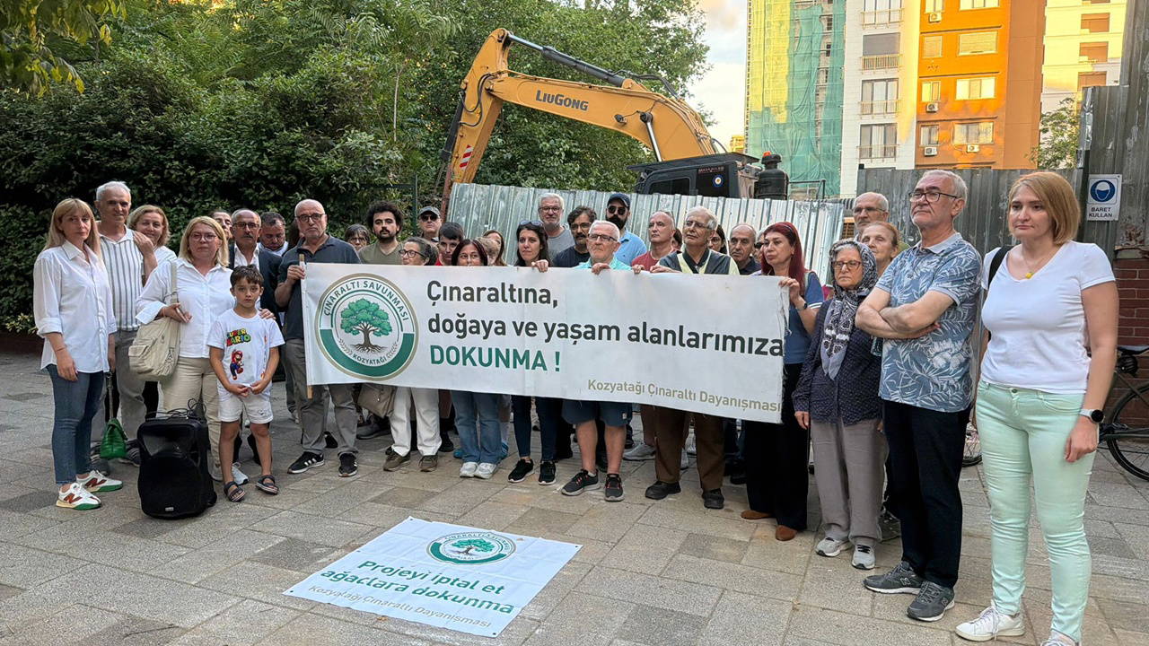 Yurttaşlar 400 yıllık çınar ağaçları için mücadele ediyor: ‘Kamusal alan korunmalı’