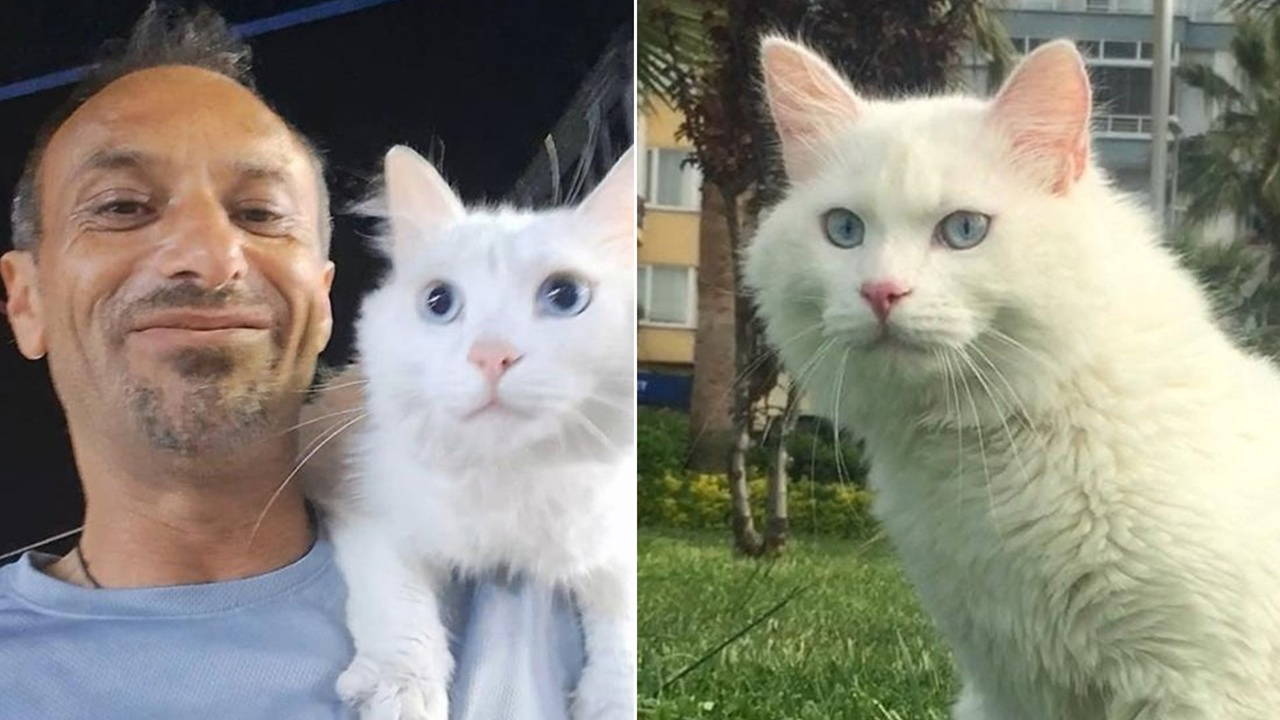 Son Dakika Haber Görseli