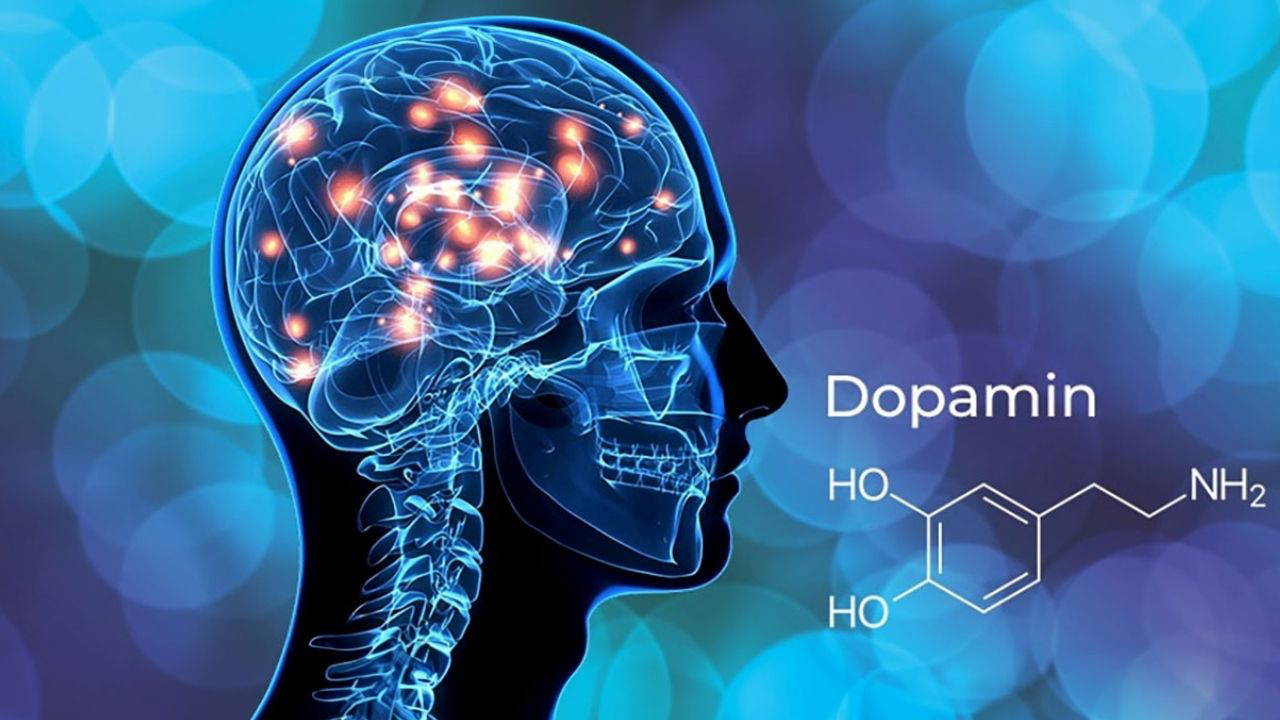 Depresyonla mücadelede yeni umut: İnsan hücreleri farelere aktarıldı